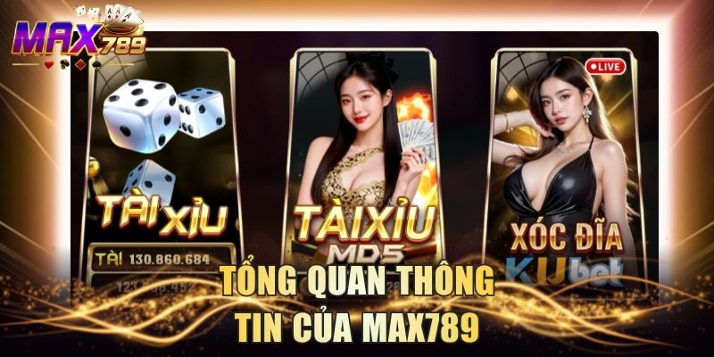 Tổng quan thông tin của Max789